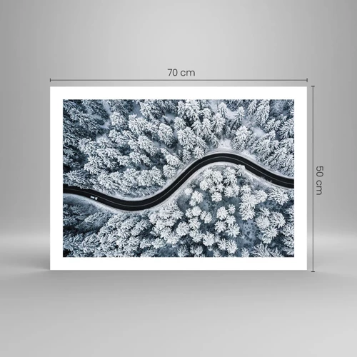 Plakát - Zimním lesem - 70x50 cm