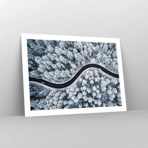 Plakát - Zimním lesem - 70x50 cm