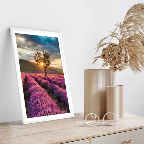 Plakát v bílém rámu - Aroma v barvě lila - 30x40 cm
