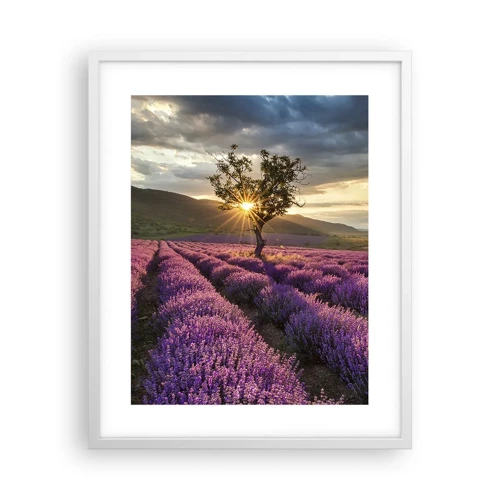 Plakát v bílém rámu - Aroma v barvě lila - 40x50 cm