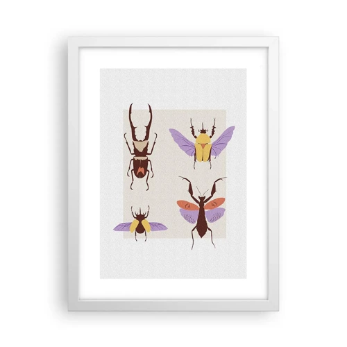 Plakát v bílém rámu - Hmyzí svět - 30x40 cm