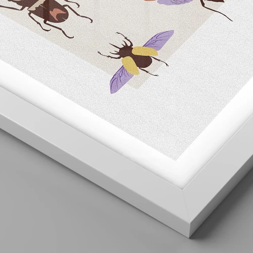 Plakát v bílém rámu - Hmyzí svět - 40x50 cm