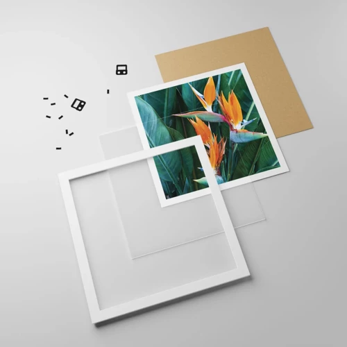 Plakát v bílém rámu - Je to květina, nebo pták? - 40x40 cm