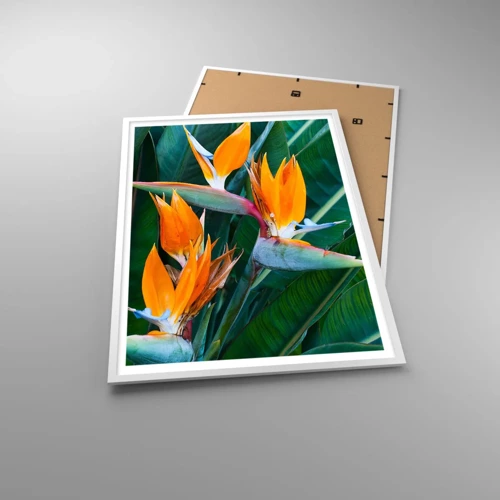 Plakát v bílém rámu - Je to květina, nebo pták? - 70x100 cm
