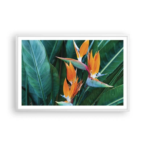 Plakát v bílém rámu - Je to květina, nebo pták? - 91x61 cm