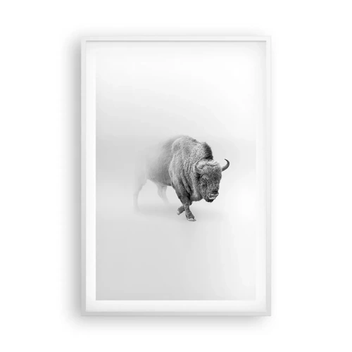 Plakát v bílém rámu - Král prérie - 61x91 cm