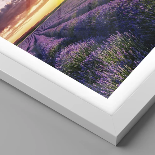 Plakát v bílém rámu - Levandulový svět - 60x60 cm