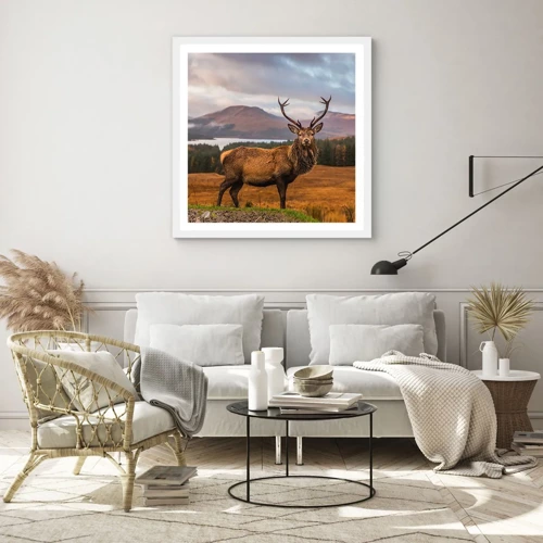 Plakát v bílém rámu - Majestát přírody - 60x60 cm