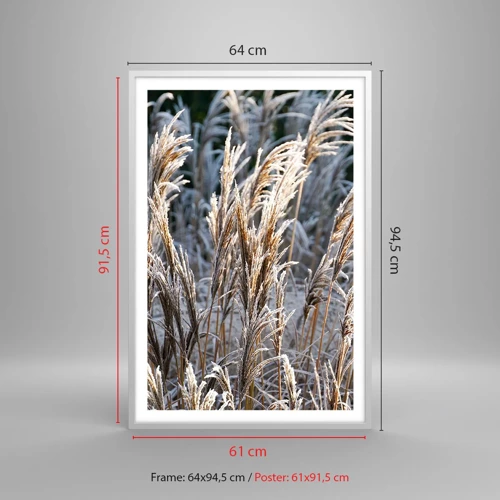 Plakát v bílém rámu - Mrazem pokryté - 61x91 cm