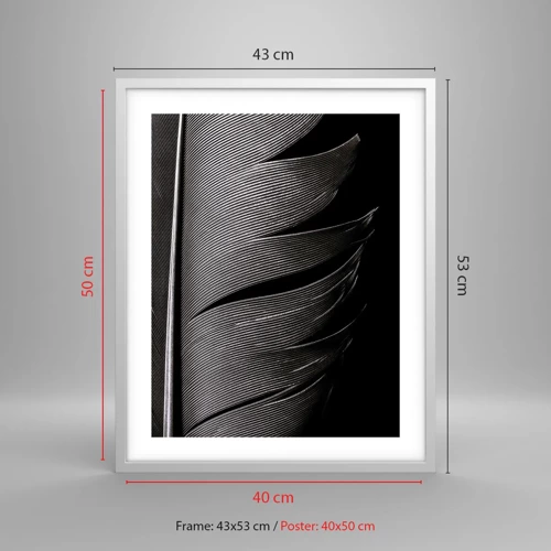 Plakát v bílém rámu - Peří – nádherná konstrukce - 40x50 cm