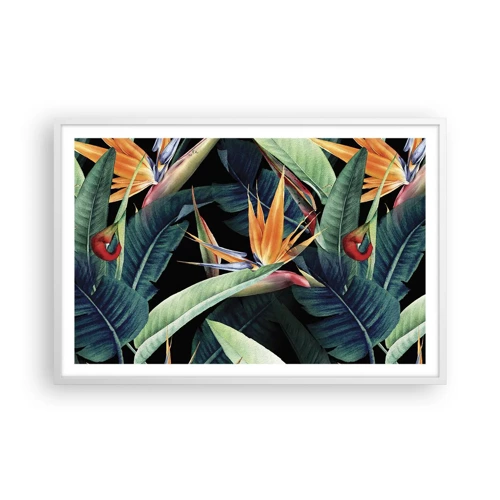 Plakát v bílém rámu - Plamenné květy tropů - 91x61 cm