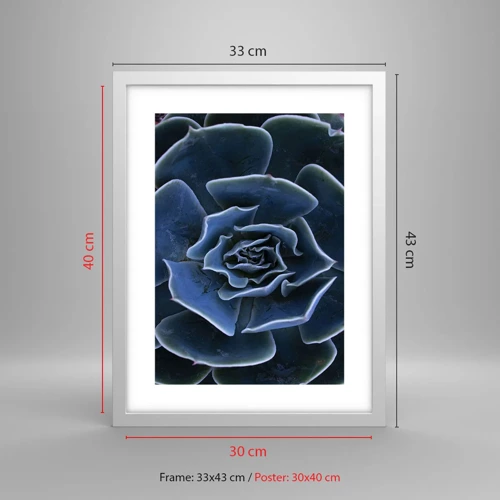 Plakát v bílém rámu - Pouštní květ - 30x40 cm