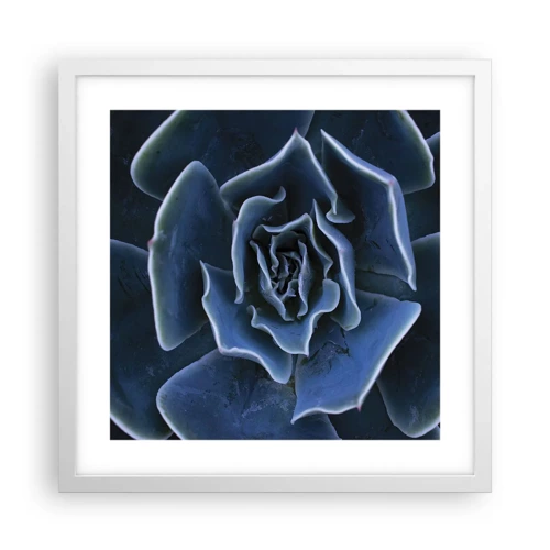 Plakát v bílém rámu - Pouštní květ - 40x40 cm