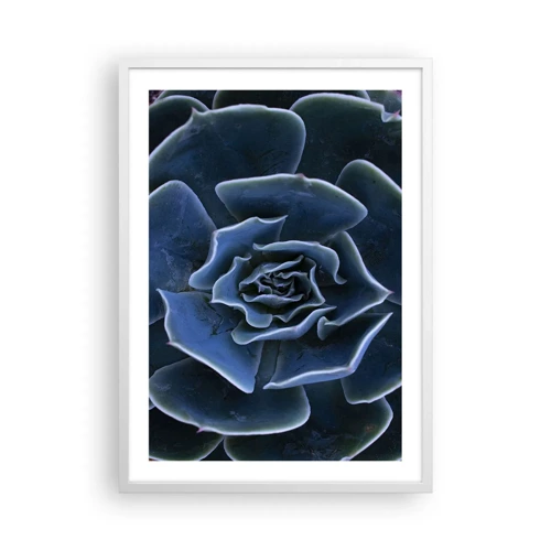 Plakát v bílém rámu - Pouštní květ - 50x70 cm