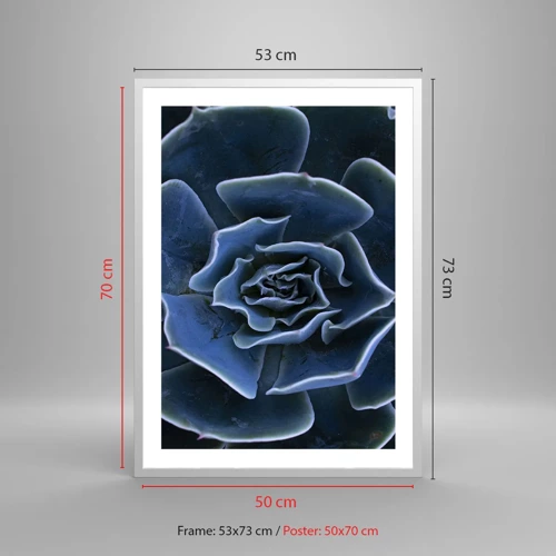 Plakát v bílém rámu - Pouštní květ - 50x70 cm
