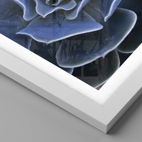 Plakát v bílém rámu - Pouštní květ - 60x60 cm