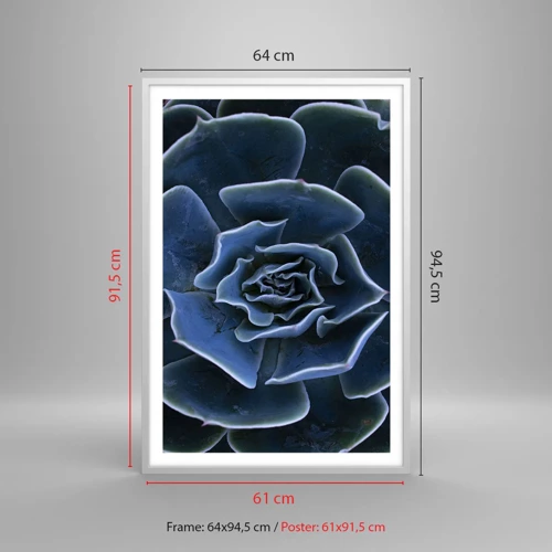 Plakát v bílém rámu - Pouštní květ - 61x91 cm