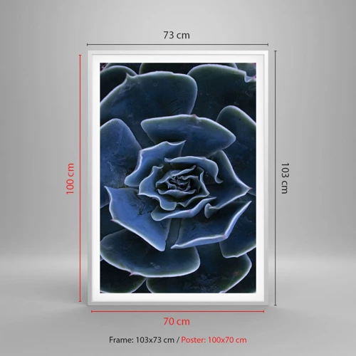 Plakát v bílém rámu - Pouštní květ - 70x100 cm