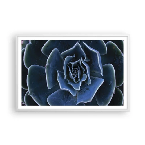 Plakát v bílém rámu - Pouštní květ - 91x61 cm