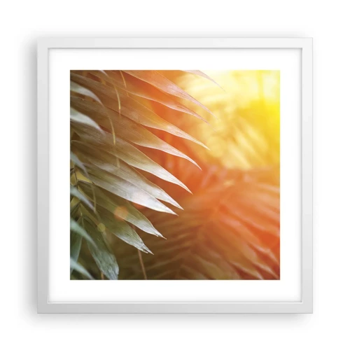 Plakát v bílém rámu - Ráno v džungli - 40x40 cm