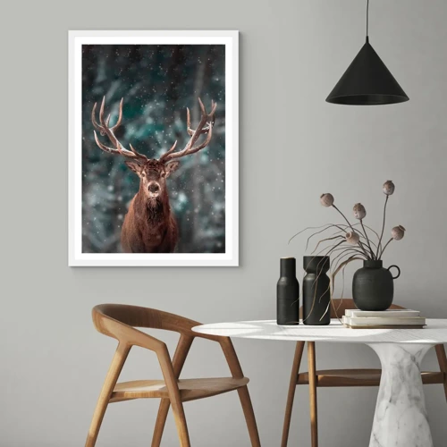 Plakát v bílém rámu - Skutečný král lesa - 50x70 cm