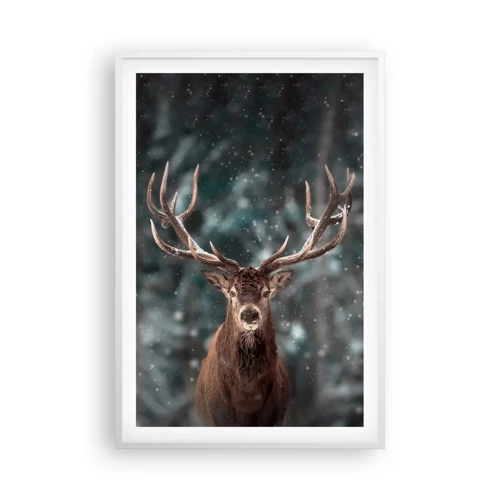 Plakát v bílém rámu - Skutečný král lesa - 61x91 cm