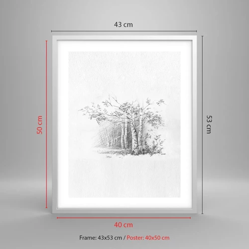 Plakát v bílém rámu - Světlo březového lesa - 40x50 cm