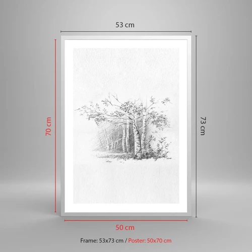 Plakát v bílém rámu - Světlo březového lesa - 50x70 cm