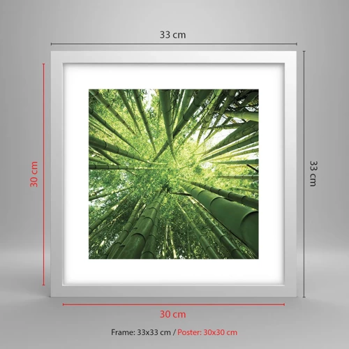 Plakát v bílém rámu - V bambusovém háji - 30x30 cm