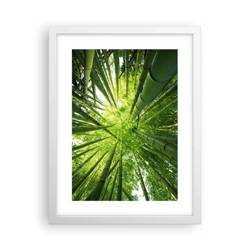 Plakát v bílém rámu - V bambusovém háji - 30x40 cm