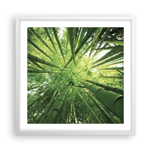 Plakát v bílém rámu - V bambusovém háji - 50x50 cm