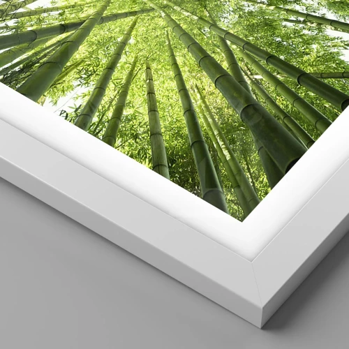 Plakát v bílém rámu - V bambusovém háji - 50x70 cm