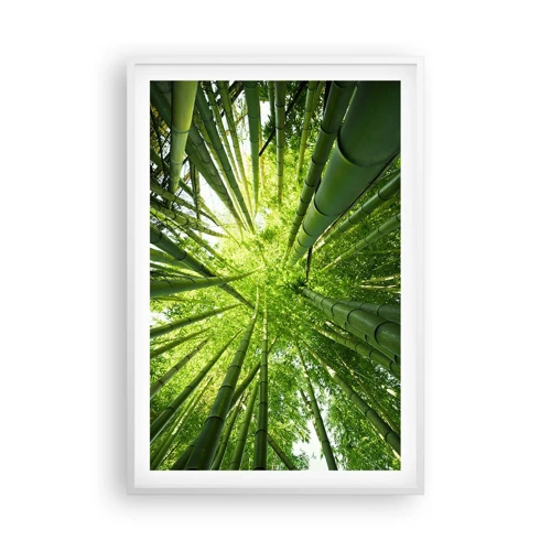Plakát v bílém rámu - V bambusovém háji - 61x91 cm