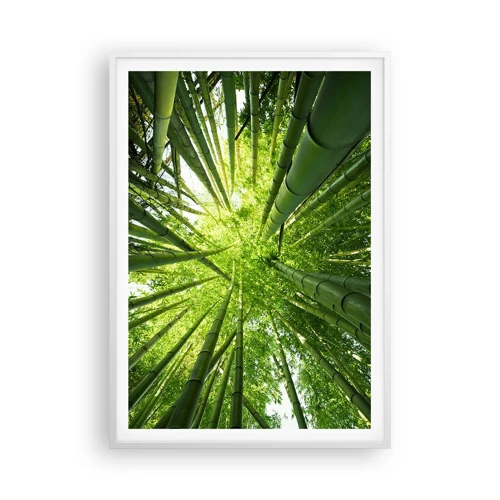Plakát v bílém rámu - V bambusovém háji - 70x100 cm