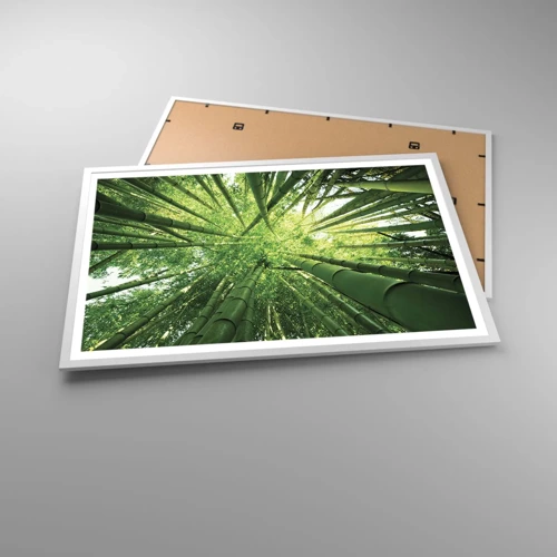 Plakát v bílém rámu - V bambusovém háji - 91x61 cm