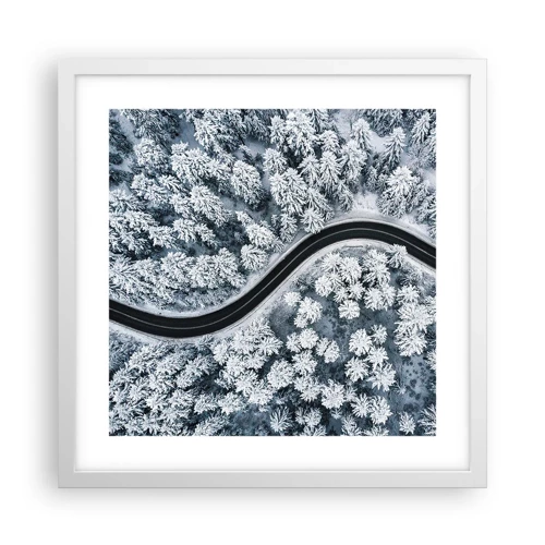 Plakát v bílém rámu - Zimním lesem - 40x40 cm