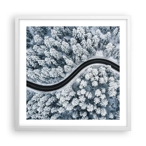 Plakát v bílém rámu - Zimním lesem - 50x50 cm