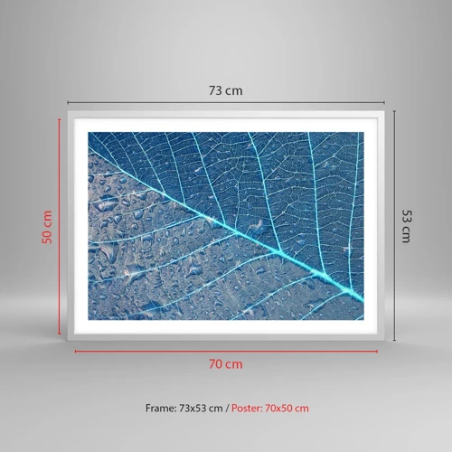 Plakát v bílém rámu - Život v modři - 70x50 cm