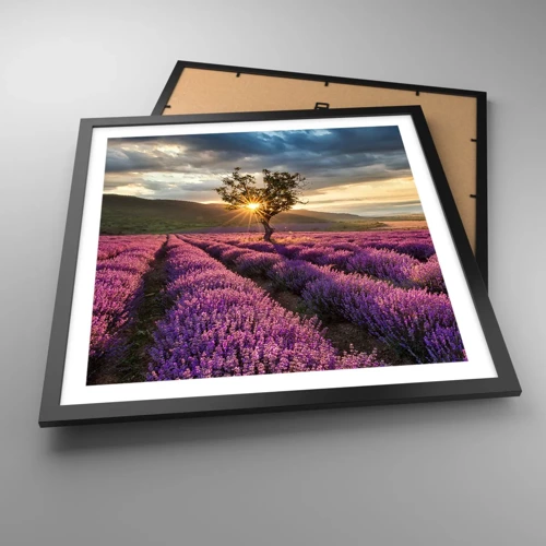 Plakát v černém rámu - Aroma v barvě lila - 50x50 cm