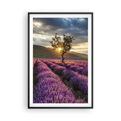 Plakát v černém rámu - Aroma v barvě lila - 61x91 cm