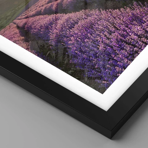 Plakát v černém rámu - Aroma v barvě lila - 70x100 cm