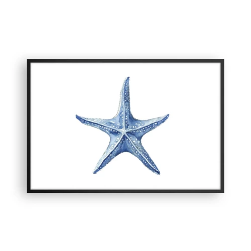 Plakát v černém rámu - Hvězda moře - 91x61 cm