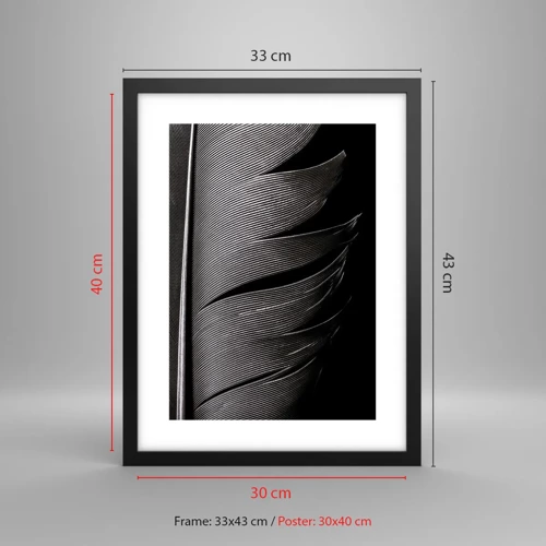 Plakát v černém rámu - Peří – nádherná konstrukce - 30x40 cm