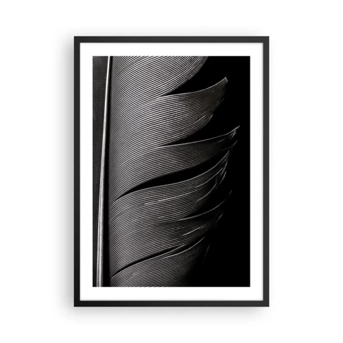 Plakát v černém rámu - Peří – nádherná konstrukce - 50x70 cm