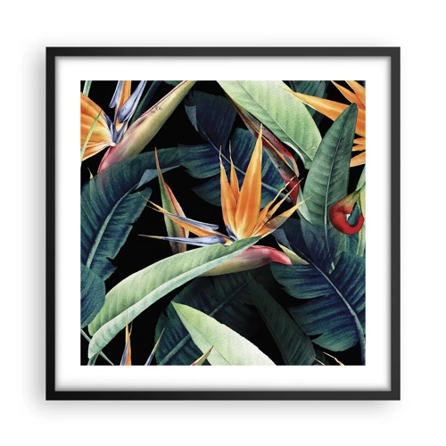Plakát v černém rámu - Plamenné květy tropů - 50x50 cm