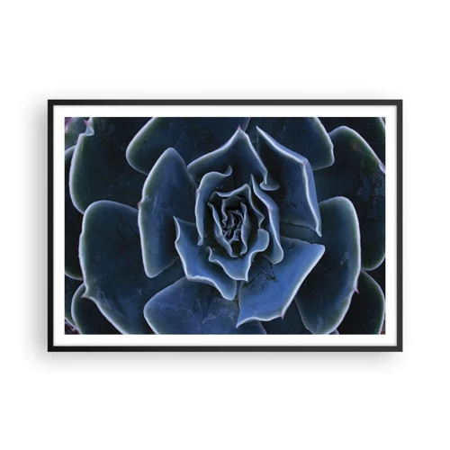 Plakát v černém rámu - Pouštní květ - 100x70 cm