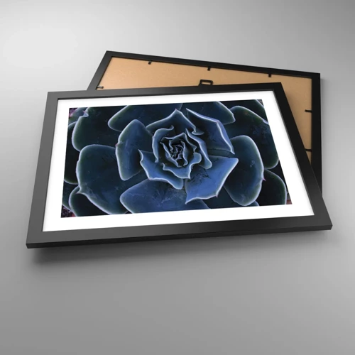Plakát v černém rámu - Pouštní květ - 40x30 cm