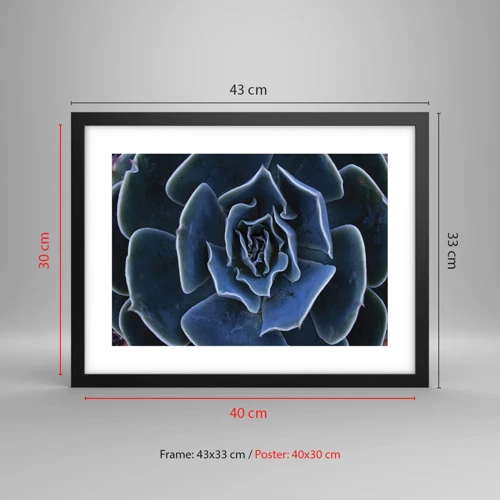 Plakát v černém rámu - Pouštní květ - 40x30 cm