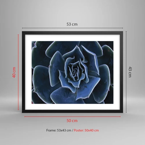 Plakát v černém rámu - Pouštní květ - 50x40 cm