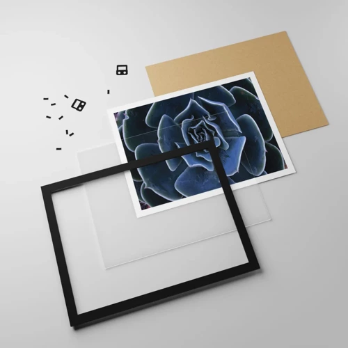 Plakát v černém rámu - Pouštní květ - 50x40 cm
